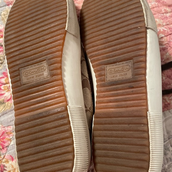 Coach Sneaker - Picture 5 of 5